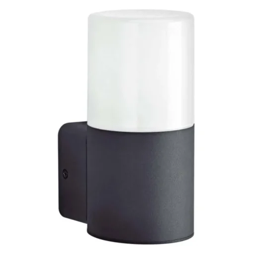 Aplique 1L Palma