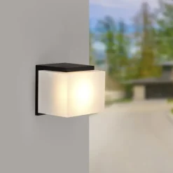 Aplique Motol
