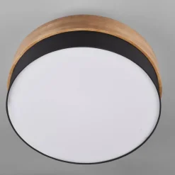 Plafón Seasons Negro /Madera
