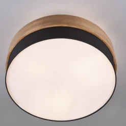 Plafón Seasons Negro /Madera