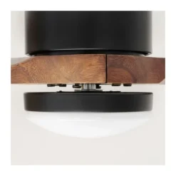 Ventilador de techo Taga negro/madera LED 18W 3CCT acabado negro aspas de madera maciza estilo moderno motor AC 132cm Ø